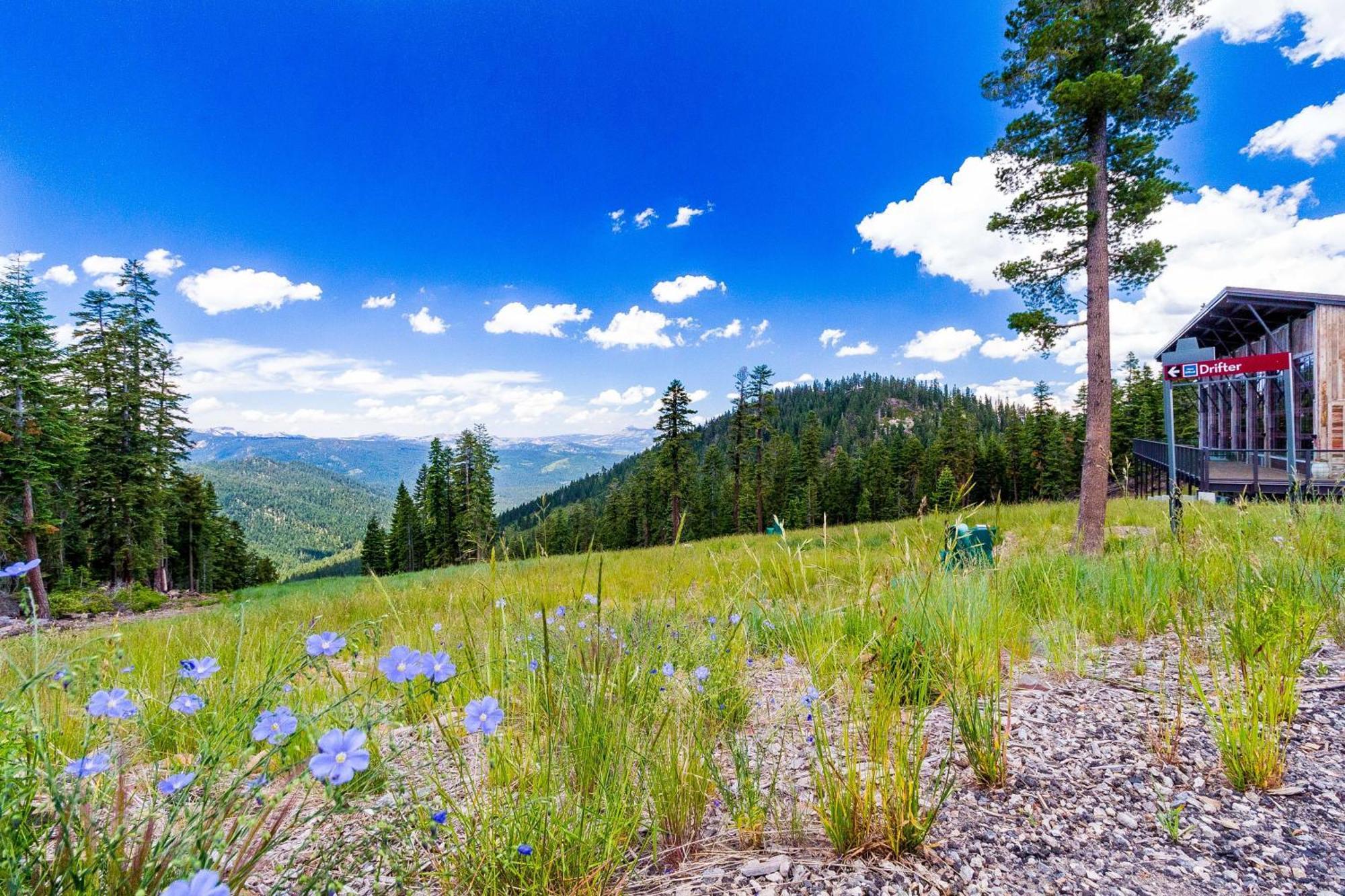 View Condo At Northstar Truckee Bagian luar foto
